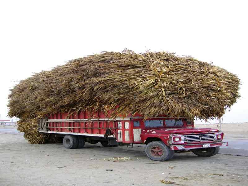 Lastwagen auf der Panamerciana